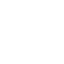 daily-report